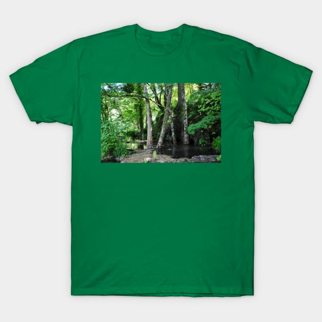 Trees in Swamp T-Shirt by KargacinArt